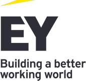 ey logo