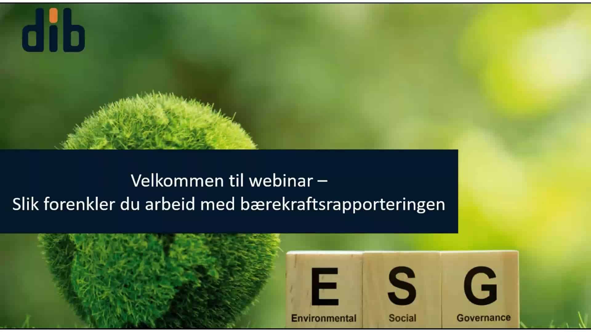 bærekrafts webinar